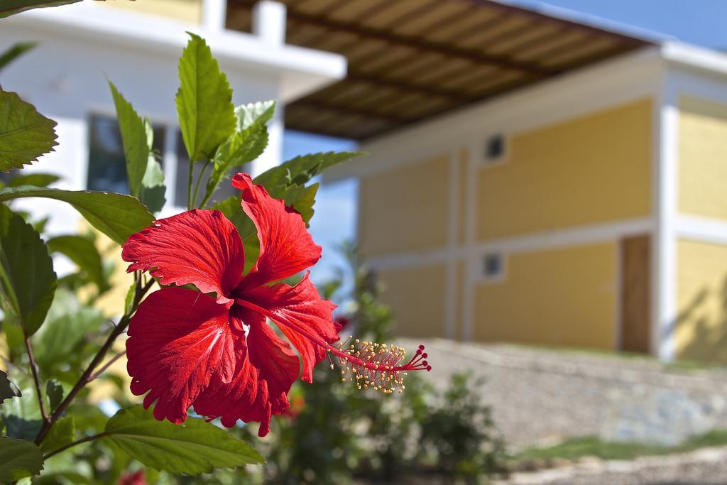 B&B El Mirador Al Mar Sosua Exterior photo